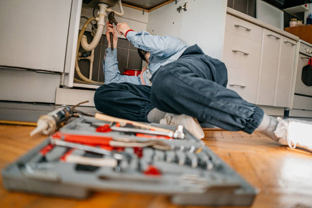Best Shower Repair Services  in Cortland, IL