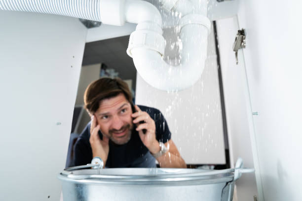 Best Best Plumbers Near Me  in Cortland, IL