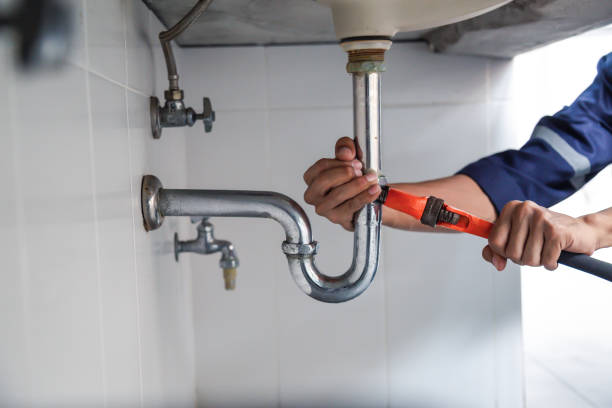 Best Commercial Plumbing Services  in Cortland, IL