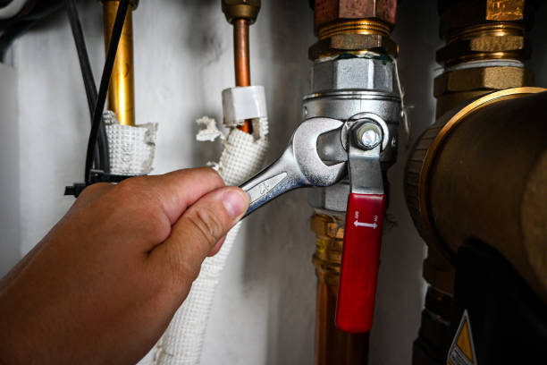 Best Drain Cleaning Services  in Cortland, IL